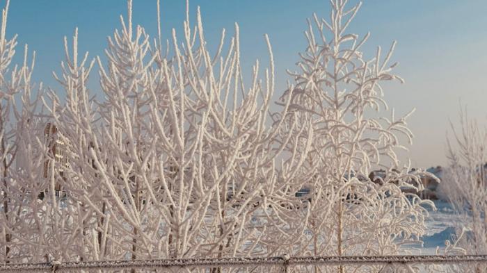 Без фильтров: заснеженная Астана восхитила горожан
                29 января 2024, 15:09