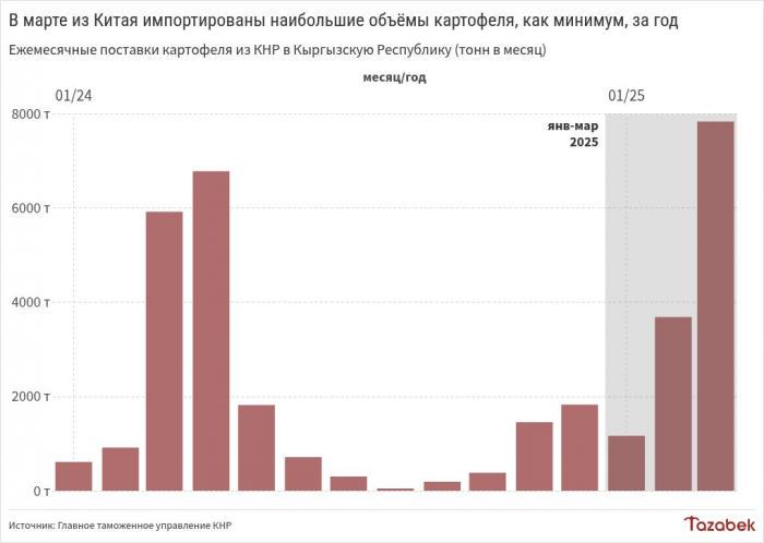Поставки томатов из Китая в Кыргызстан в первом квартале выросли в 1,7 раза в годовом выражении