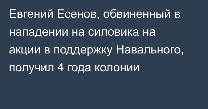 Евгений Есенов, обвиненный в нападении на силовика на акции в поддержку Навального, получил 4 года колонии