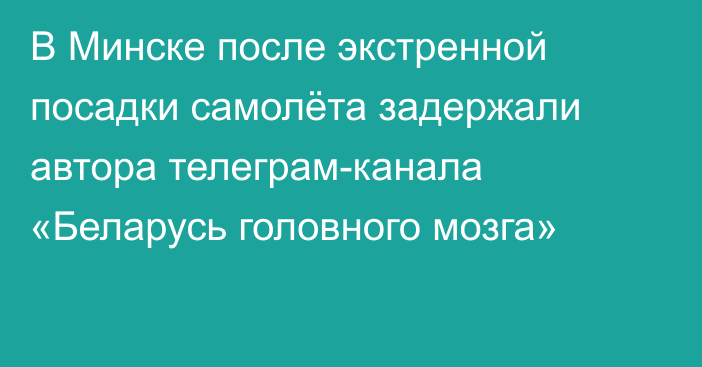 В Минске после экстренной посадки самолёта задержали  автора телеграм-канала «Беларусь головного мозга»