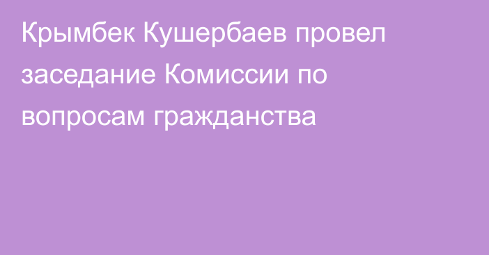 Крымбек Кушербаев провел заседание Комиссии по вопросам гражданства