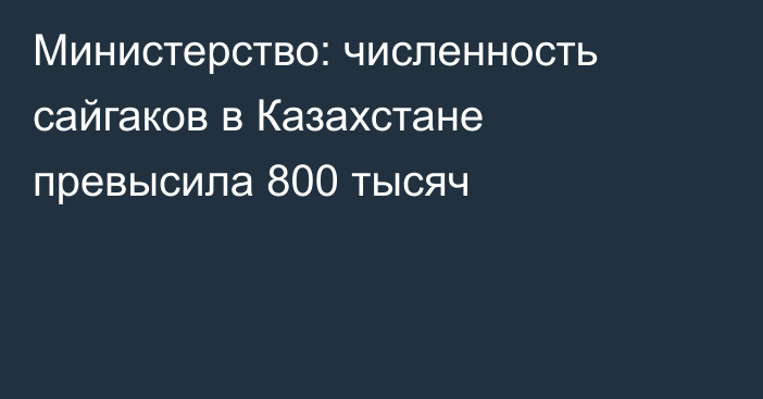 Министерство: численность сайгаков в Казахстане превысила 800 тысяч