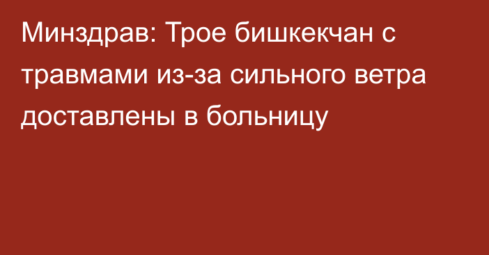Минздрав: Трое бишкекчан с травмами из-за сильного ветра доставлены в больницу