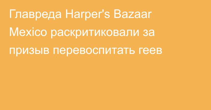 Главреда Harper's Bazaar Mexico раскритиковали за призыв перевоспитать геев