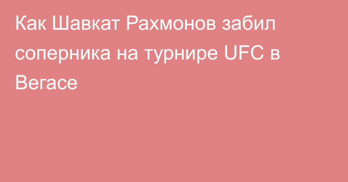 Как Шавкат Рахмонов забил соперника на турнире UFC в Вегасе