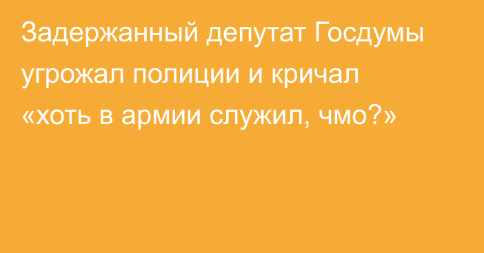 Задержанный депутат Госдумы угрожал полиции и кричал «хоть в армии служил, чмо?»