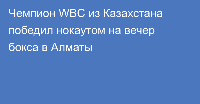 Чемпион WBC из Казахстана победил нокаутом на вечер бокса в Алматы