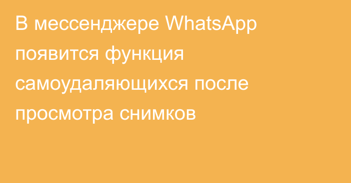 В мессенджере WhatsApp появится функция самоудаляющихся после просмотра снимков