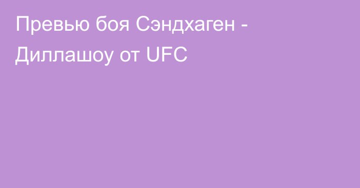 Превью боя Сэндхаген - Диллашоу от UFC
