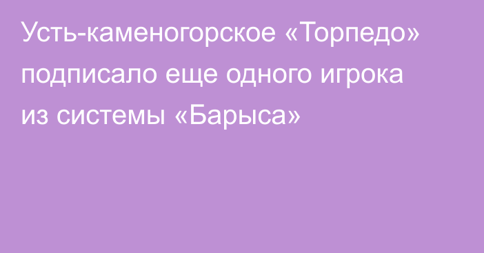 Усть-каменогорское «Торпедо» подписало еще одного игрока из системы «Барыса»