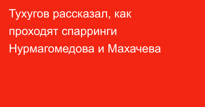 Тухугов рассказал, как проходят спарринги Нурмагомедова и Махачева