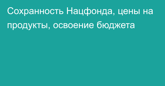 Сохранность Нацфонда, цены на продукты, освоение бюджета