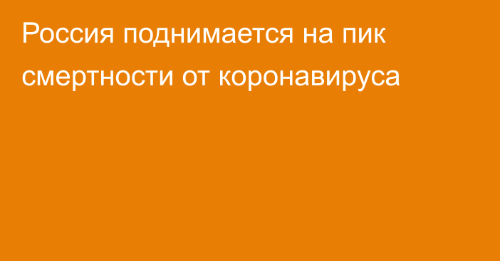 Россия поднимается на пик смертности от коронавируса