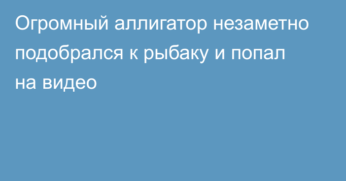 Огромный аллигатор незаметно подобрался к рыбаку и попал на видео