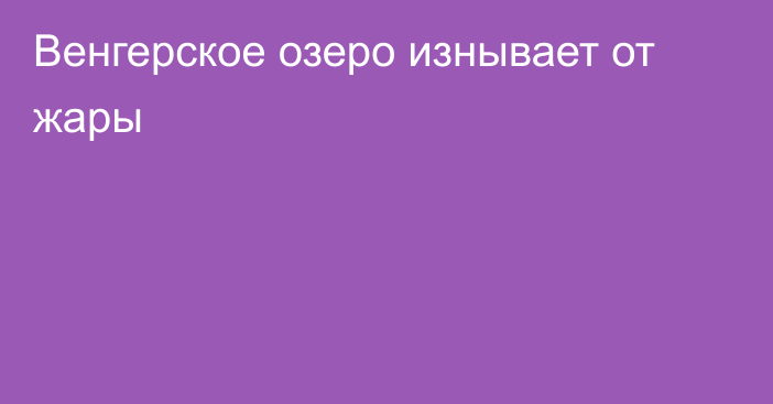 Венгерское озеро изнывает от жары