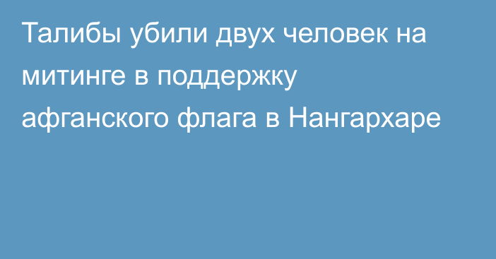 Талибы убили двух человек на митинге в поддержку афганского флага в Нангархаре