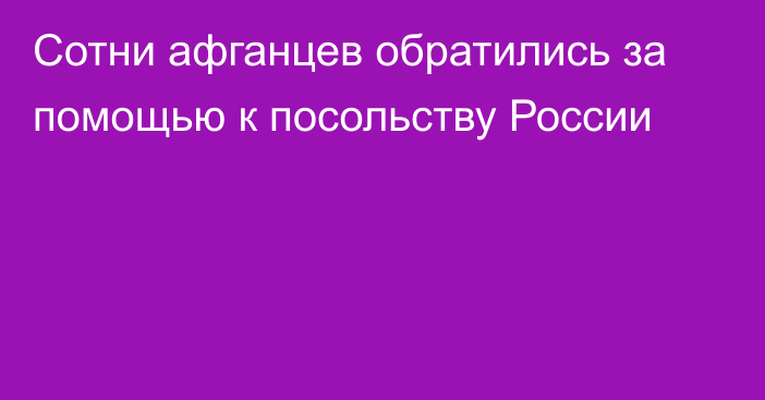 Сотни афганцев обратились за помощью к посольству России