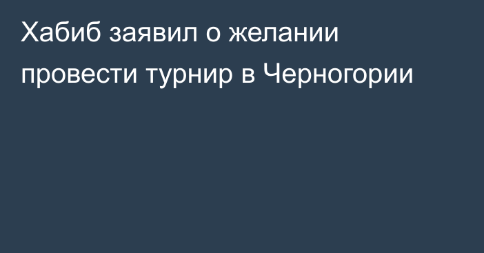 Хабиб заявил о желании провести турнир в Черногории