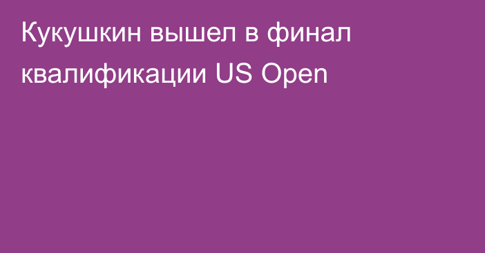 Кукушкин вышел в финал квалификации US Open
