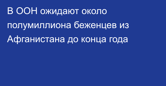 В ООН ожидают около полумиллиона беженцев из Афганистана до конца года