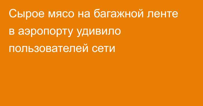 Сырое мясо на багажной ленте в аэропорту удивило пользователей сети