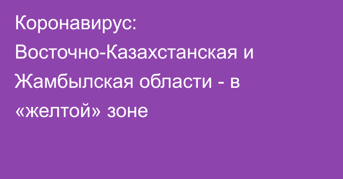 Коронавирус: Восточно-Казахстанская и Жамбылская области - в «желтой» зоне