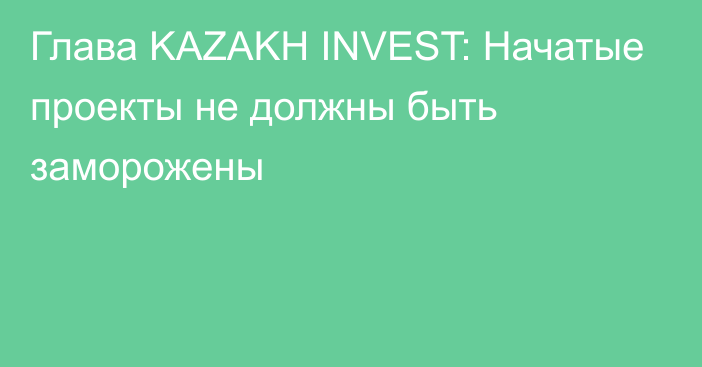 Глава KAZAKH INVEST: Начатые проекты не должны быть заморожены