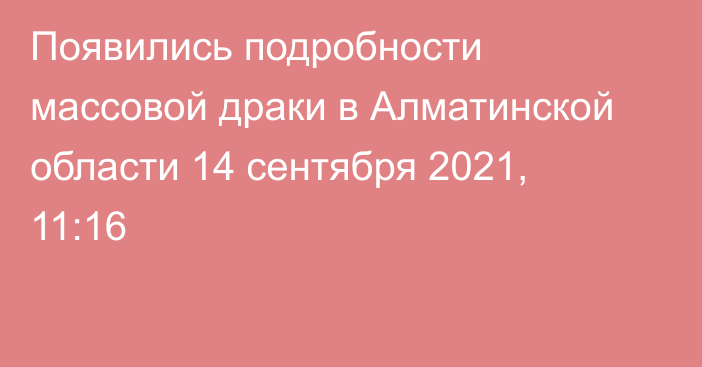 Появились подробности массовой драки в Алматинской области
                14 сентября 2021, 11:16