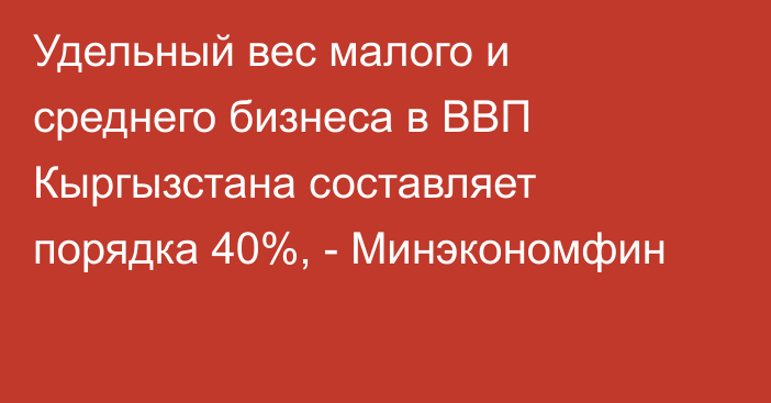 Удельный вес малого и среднего бизнеса в ВВП Кыргызстана составляет порядка 40%, - Минэкономфин