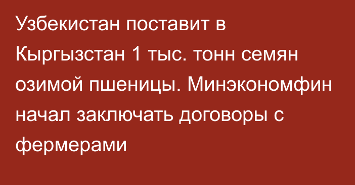 Узбекистан поставит в Кыргызстан 1 тыс. тонн семян озимой пшеницы. Минэкономфин начал заключать договоры с фермерами