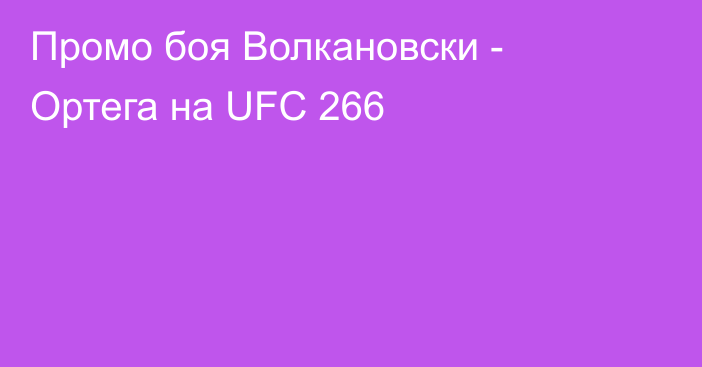 Промо боя Волкановски - Ортега на UFC 266