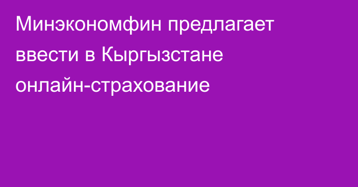 Минэкономфин предлагает ввести в Кыргызстане онлайн-страхование