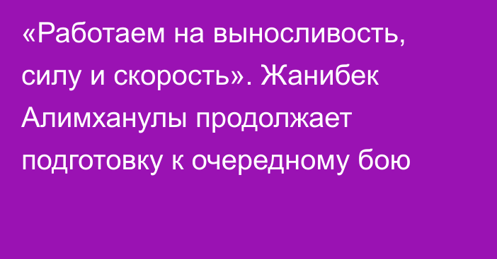 «Работаем на выносливость, силу и скорость». Жанибек Алимханулы продолжает подготовку к очередному бою