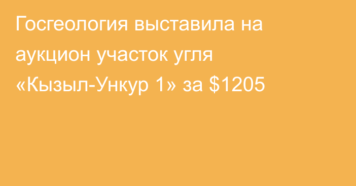 Госгеология выставила на аукцион участок угля «Кызыл-Ункур 1» за $1205