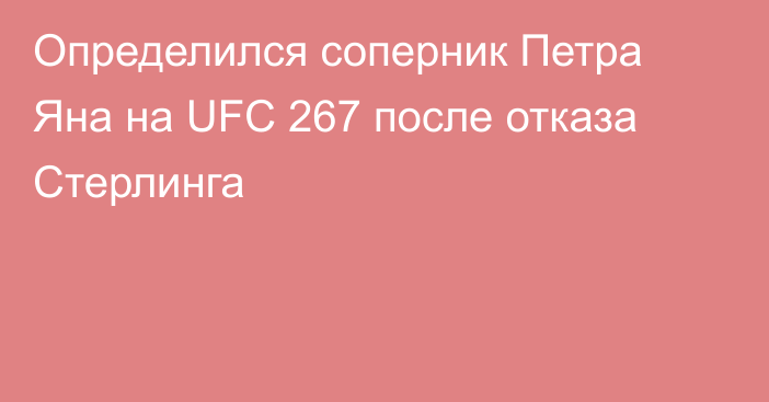 Определился соперник Петра Яна на UFC 267 после отказа Стерлинга