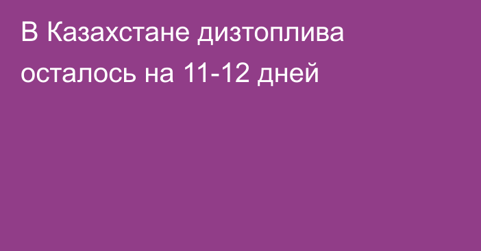 В Казахстане дизтоплива осталось на 11-12 дней