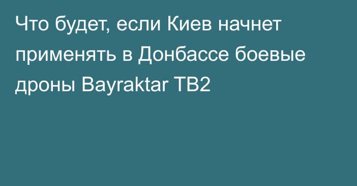 Что будет, если Киев начнет применять в Донбассе боевые дроны Bayraktar TB2