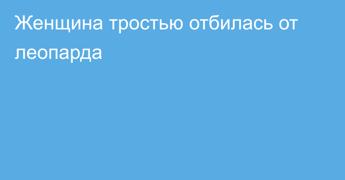 Женщина тростью отбилась от леопарда