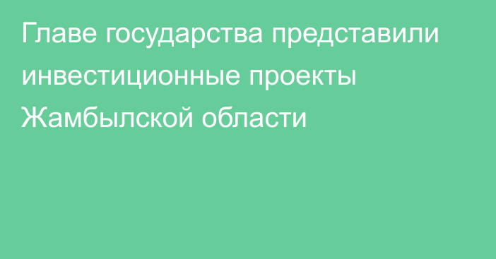 Главе государства представили инвестиционные проекты Жамбылской области