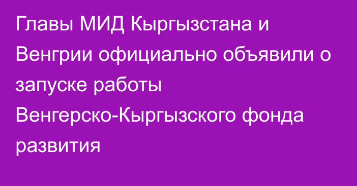 Главы МИД Кыргызстана и Венгрии официально объявили о запуске работы Венгерско-Кыргызского фонда развития