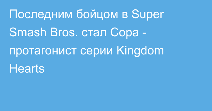 Последним бойцом в Super Smash Bros. стал Сора - протагонист серии Kingdom Hearts