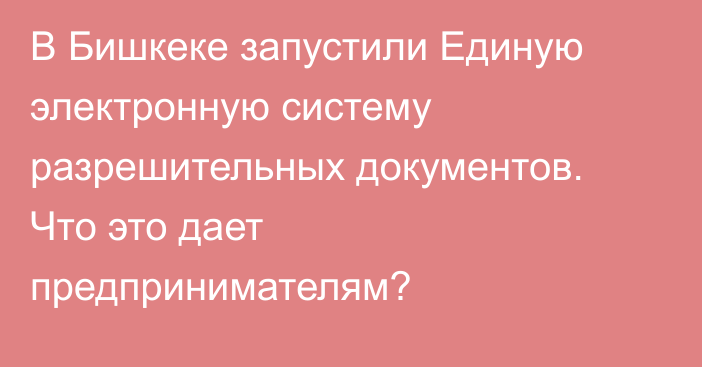 В Бишкеке запустили Единую электронную систему разрешительных документов. Что это дает предпринимателям?