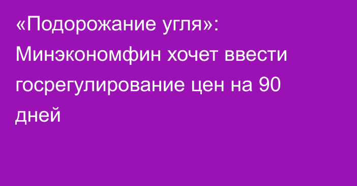 «Подорожание угля»: Минэкономфин хочет ввести госрегулирование цен на 90 дней