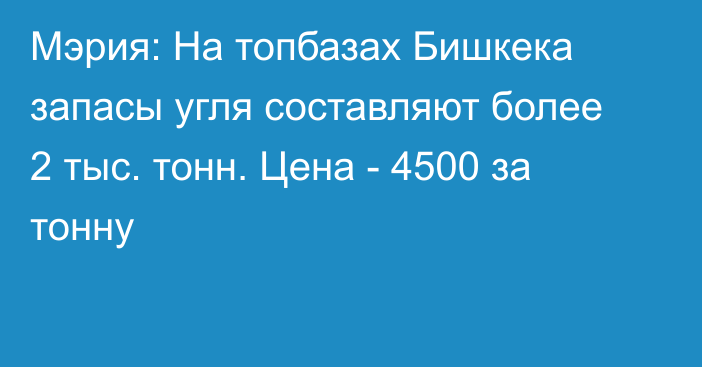Мэрия: На топбазах Бишкека запасы угля составляют более 2 тыс. тонн. Цена - 4500 за тонну