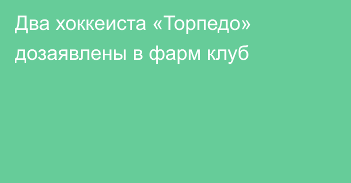 Два хоккеиста «Торпедо» дозаявлены в фарм клуб