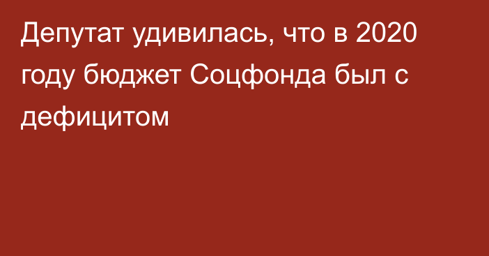 Депутат удивилась, что в 2020 году бюджет Соцфонда был с дефицитом