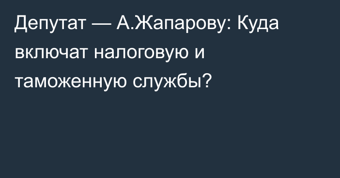 Депутат — А.Жапарову: Куда включат налоговую и таможенную службы?