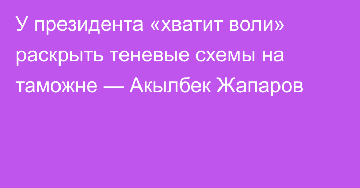У президента «хватит воли» раскрыть теневые схемы на таможне — Акылбек Жапаров