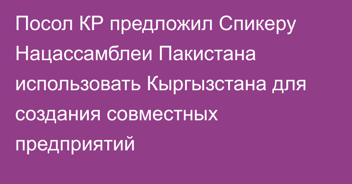 Посол КР предложил Спикеру Нацассамблеи Пакистана использовать Кыргызстана для создания совместных предприятий