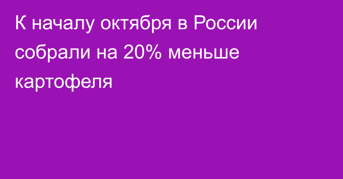 К началу октября в России собрали на 20% меньше картофеля